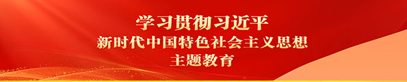 学习贯彻习近平新时代中国特色社会主义思想主题教育